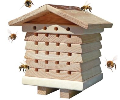 beehives